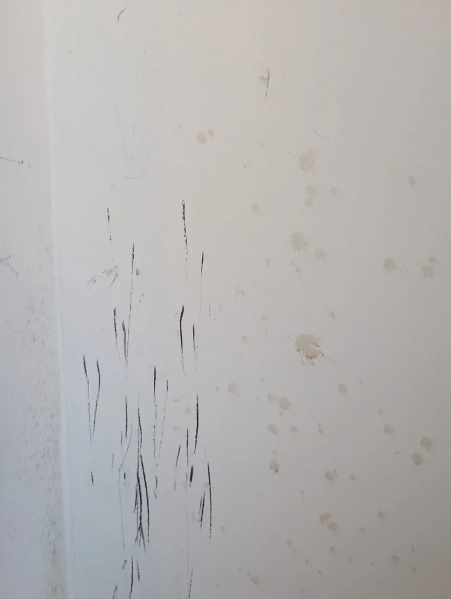 Scuffs and surface marks found during a pre-painting wall inspection