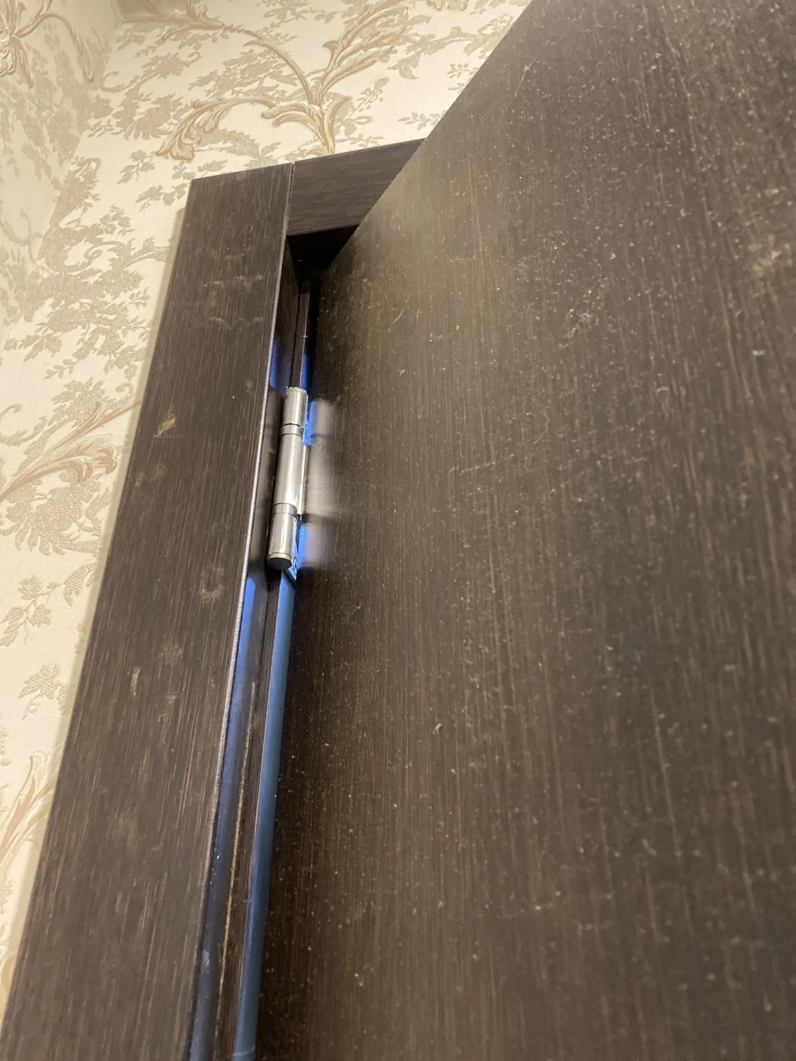 Door hinge checked during a door adjustment by Handyman MultiFix