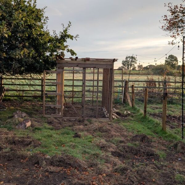 Completed chicken coop build in NE20